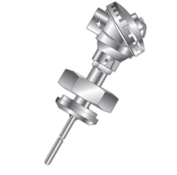 main_INTM_RS81﻿_Sanitary_RTD.png